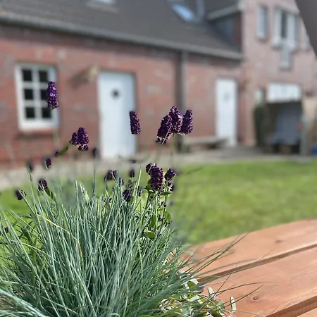 Fru Hansen Wulfen auf Fehmarn