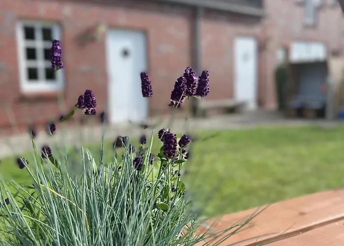 Fru Hansen Wulfen auf Fehmarn